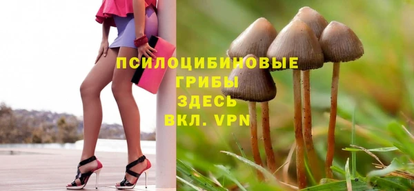 спиды Кулебаки