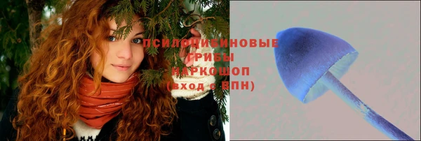 спиды Кулебаки