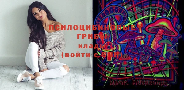 PSILOCYBIN Куйбышев